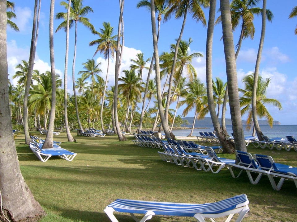 Strandidylle Wyndham Alltra Samana