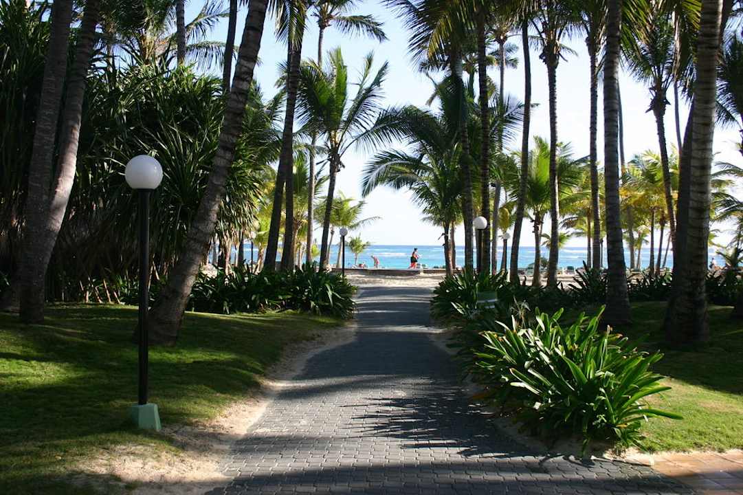Weg vom Pool zum Strand Hotel Riu Bambu