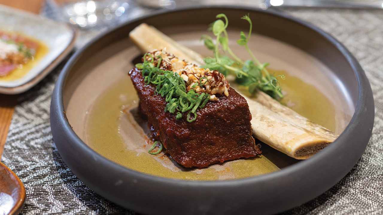 Gastro Liberty Signa