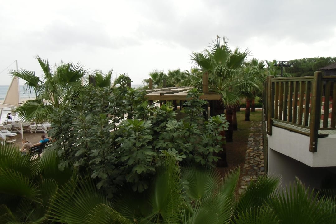 Strand Crystal Flora Beach Resort