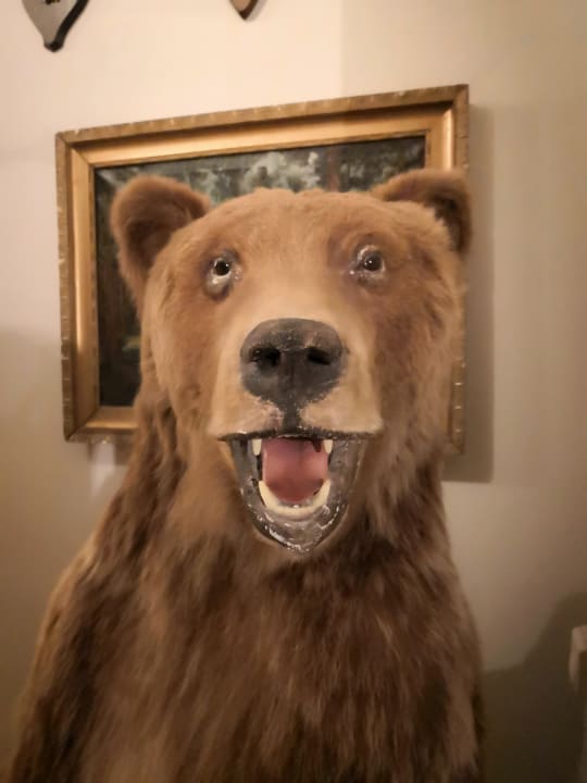 Sonstiges Hotel Zamek Karpniki