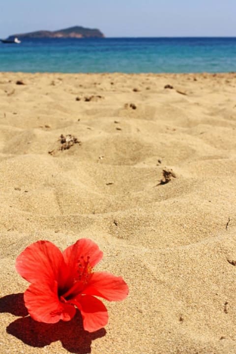 Blume El Somni Ibiza Dream Hotel by Grupotel