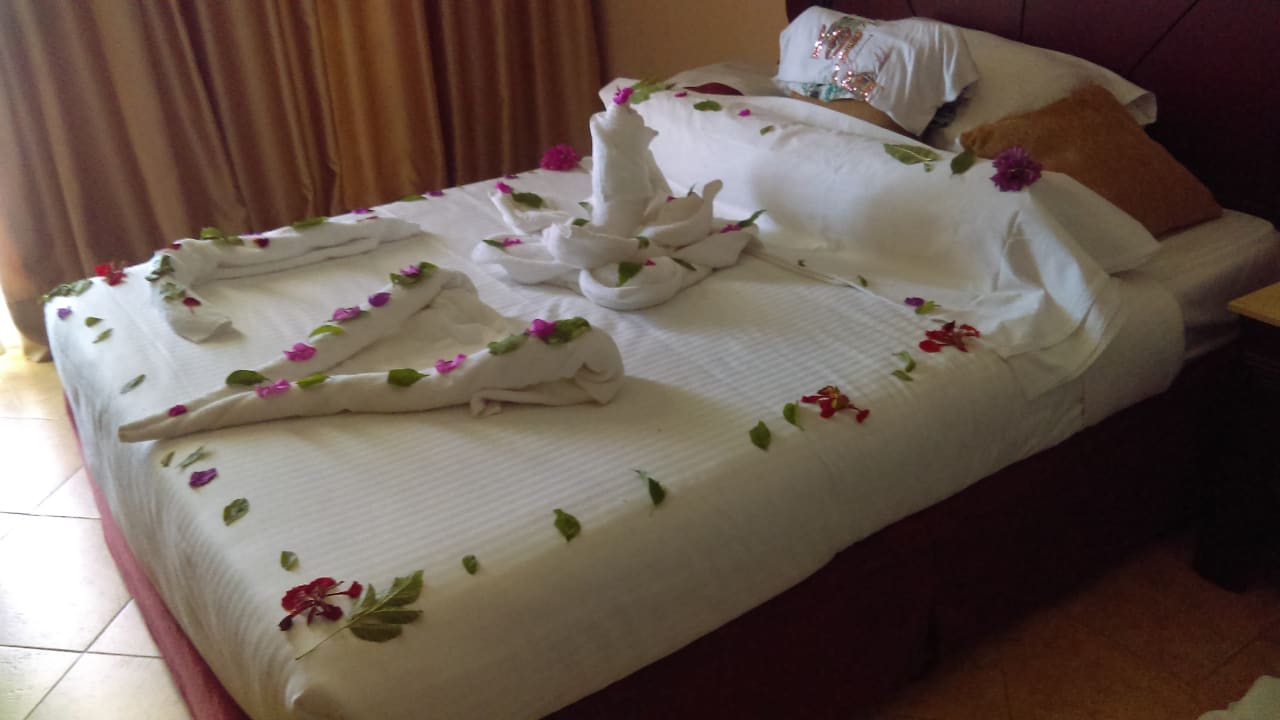 Zimmer Palm Royale Resort - Soma Bay