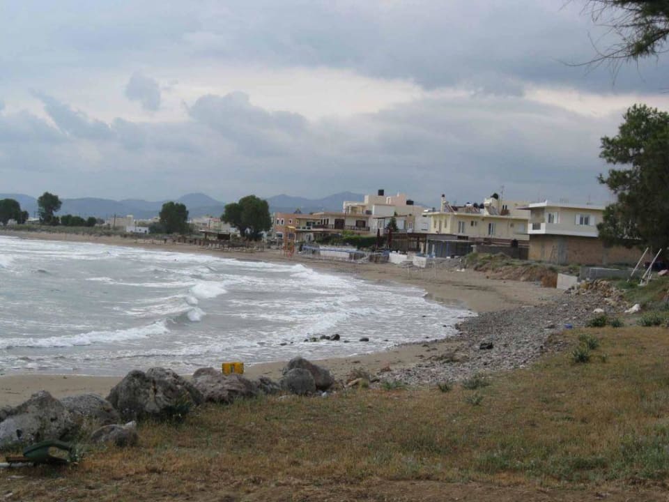 Plaża hotelowa Aphrodite Beach Hotel