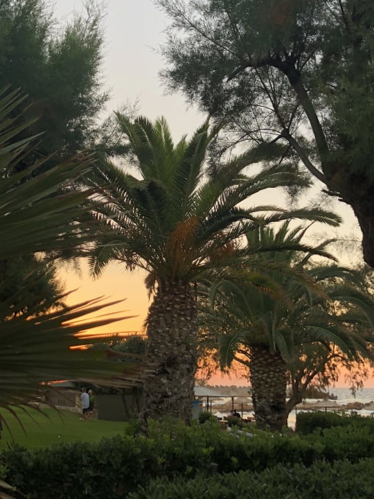 Gartenanlage Phãea Cretan Malia