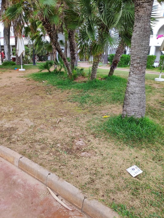Gartenanlage Calimera Fido Gardens