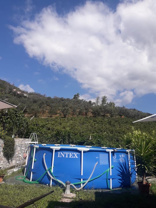 Pool Agriturismo la Collina Verde