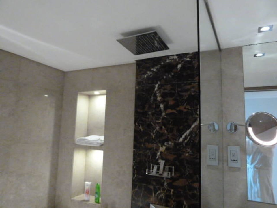 Regendusche Le Royal Meridien Abu Dhabi