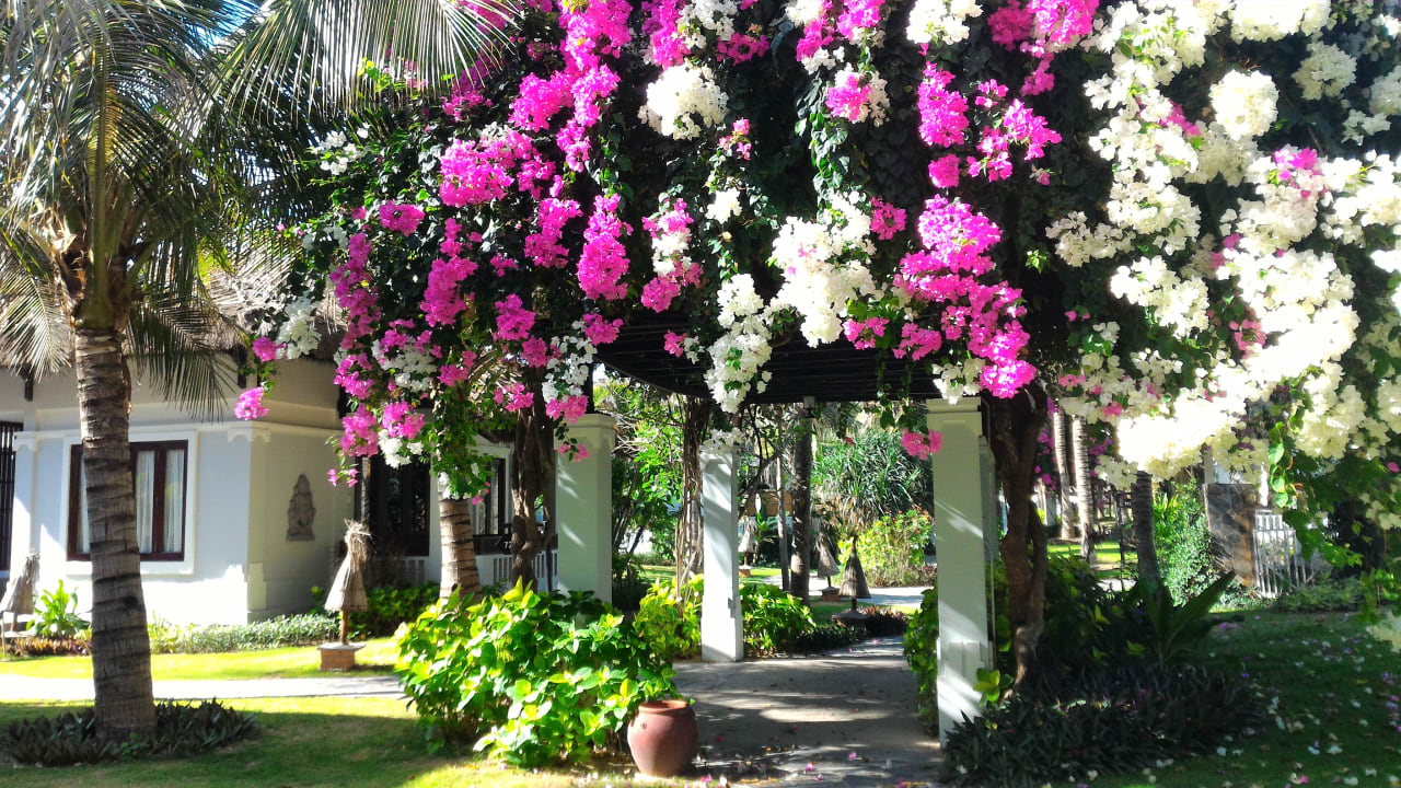 Ausblick Hotel Muine Bay Resort