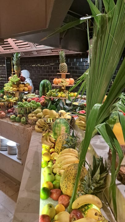 Gastro PALOMA Perissia