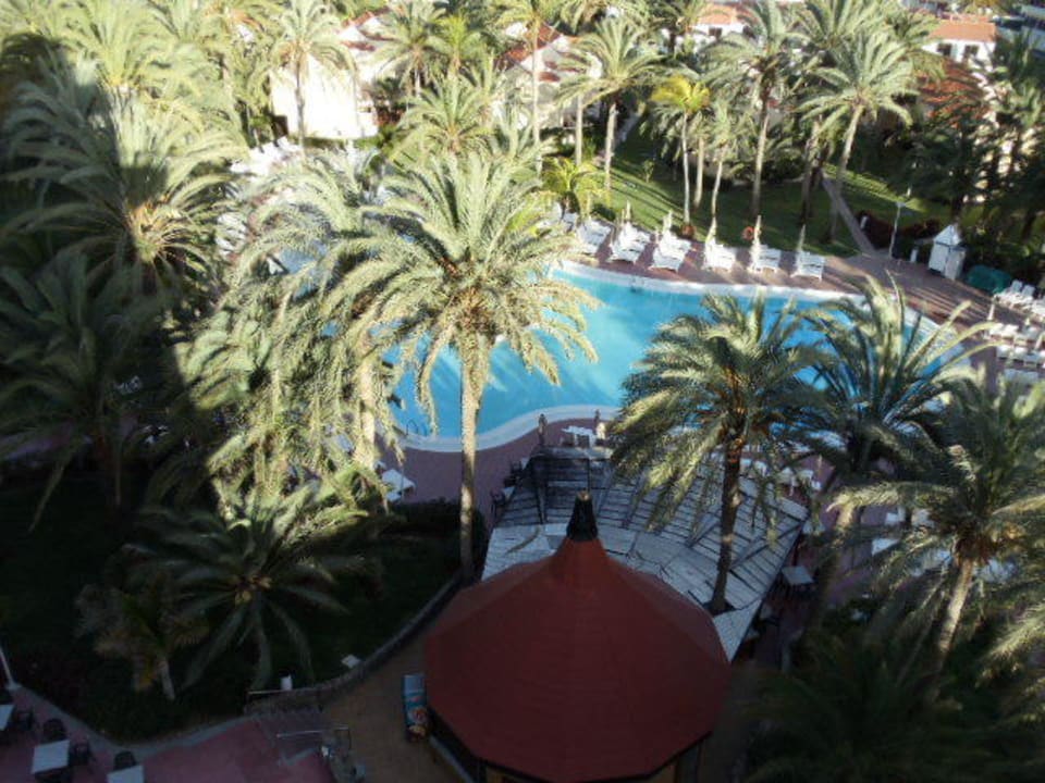 Blick auf den Pool Hotel Riu Palace Palmeras