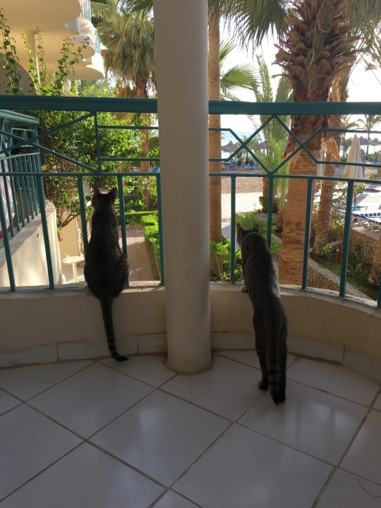 Sonstiges Bella Vista Resort Hurghada