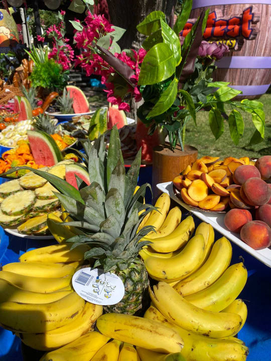 Sport & Freizeit Hotel Gardenia Beach