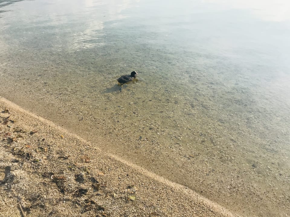 Strand Parc Hotel Du Lac
