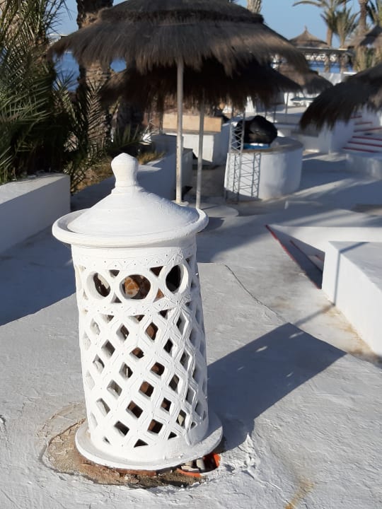 Gartenanlage Hotel El Mouradi Djerba Menzel