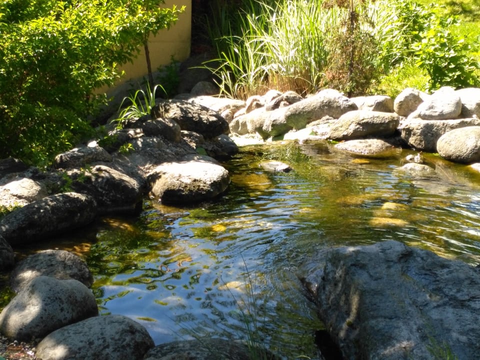 Gartenanlage Hotel Kohlerhof
