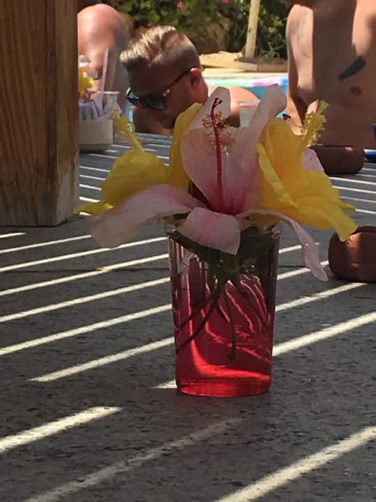 Pool Stella Beach Resort & Spa Makadi Bay