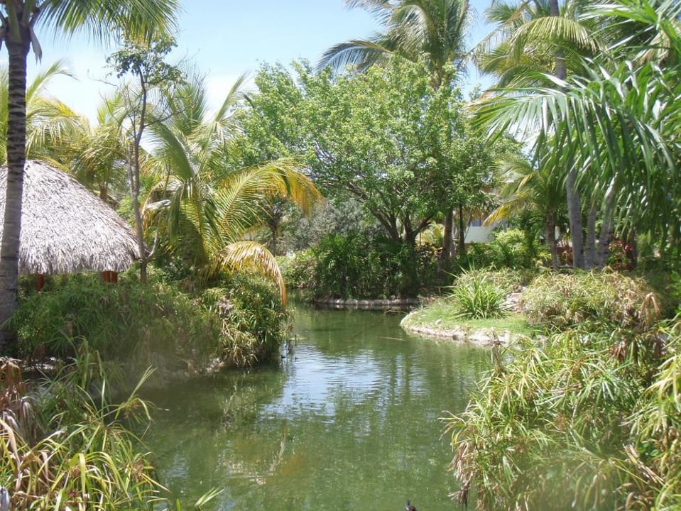 Gartenanlage Catalonia Punta Cana - All Inclusive