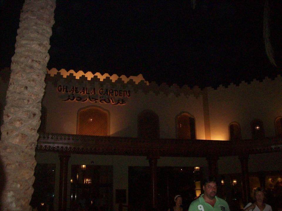 Letzter Blick vor der Heimreise  Ghazala Gardens