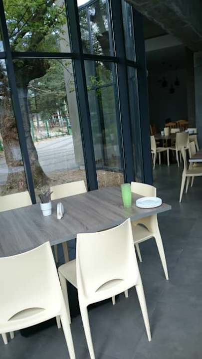 Piękne drzewo wkomponowane w budynek Resort Ośrodek Wczasowo Kolonijny Korona