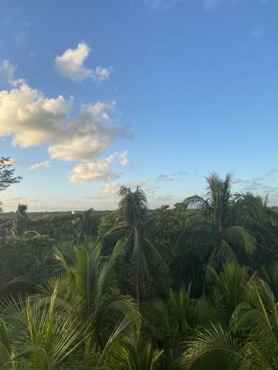 Ausblick Akumal Bay Beach & Wellness Resort