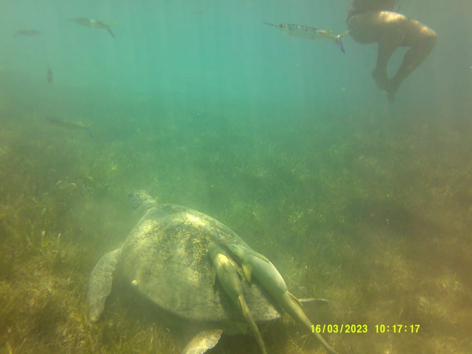 Sport & Freizeit Imperial Shams Abu Soma