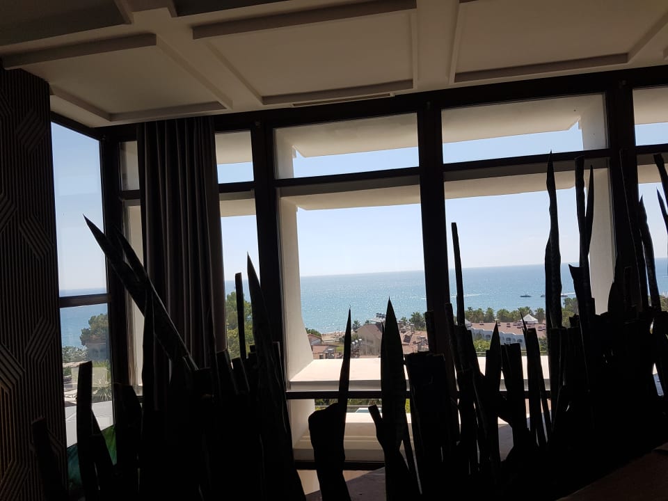 Ausblick Side Star Elegance