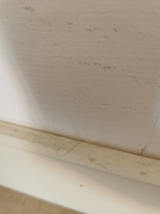 Zimmer Hotel Ilusion Calma &  SPA