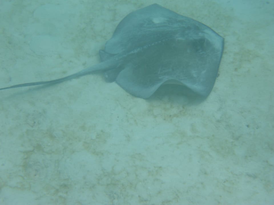 Sonstiges Akumal Bay Beach & Wellness Resort