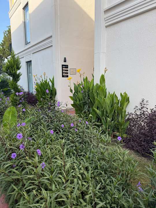 Gartenanlage alltoura Club La Benata Hotel