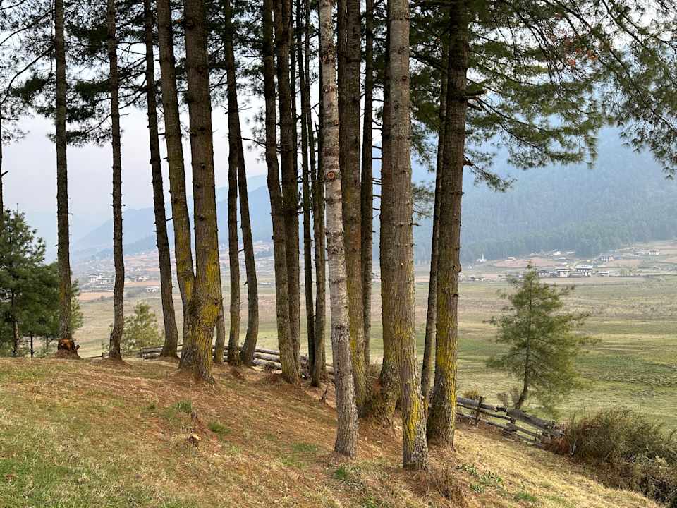 Gartenanlage Amankora Gangtey Lodge