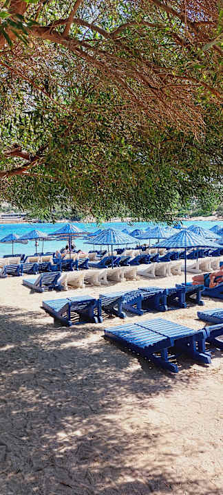 Strand Club Resort Atlantis