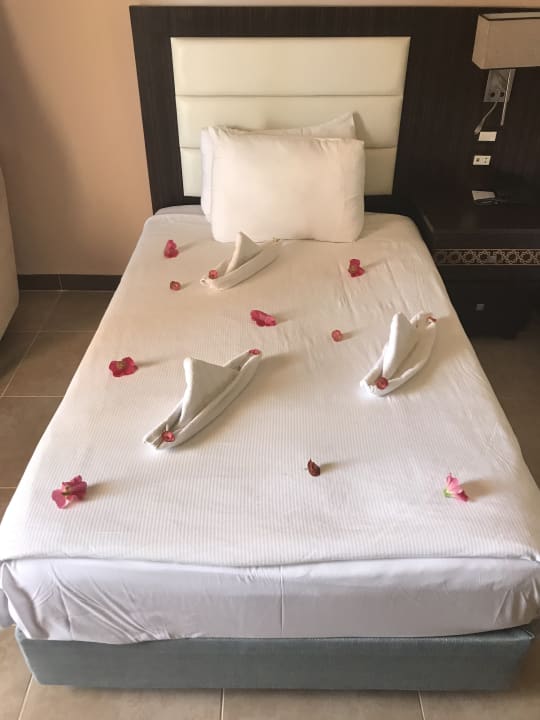 Zimmer Pickalbatros Palace Resort