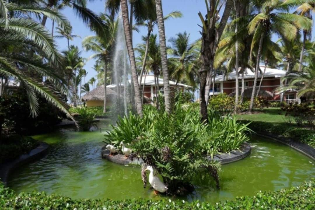 Sonstiges Hotel Grand Palladium Palace Resort, Spa & Casino