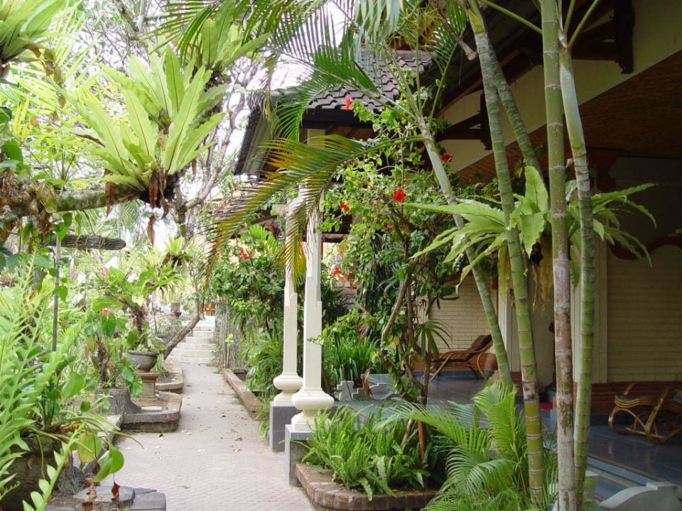 Gartenanlage Villa Shanti Beach