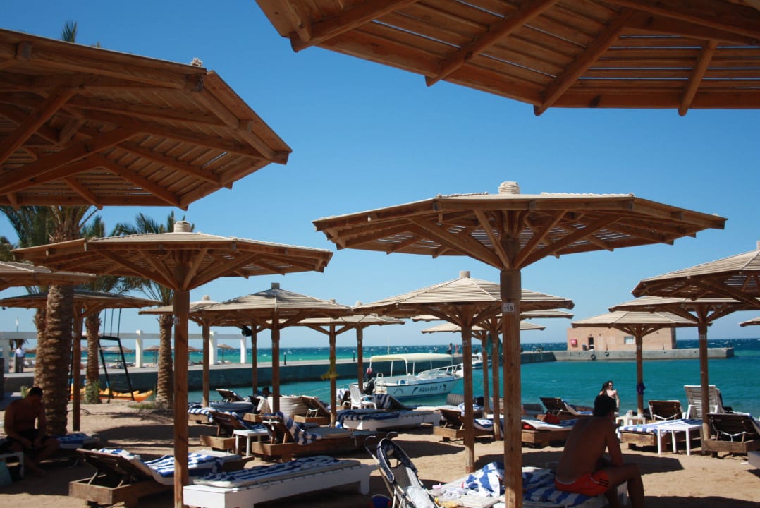 Blick von der Liege aus Palm Beach Resort