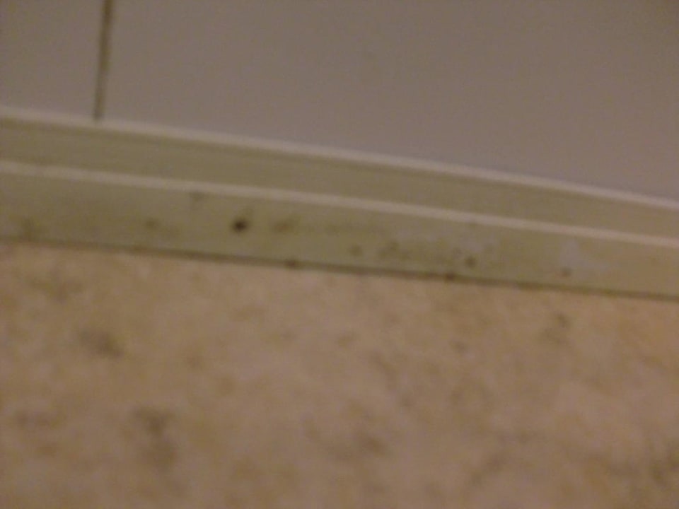 Schimmel Punta Cana Princess All Suites Resort & Spa