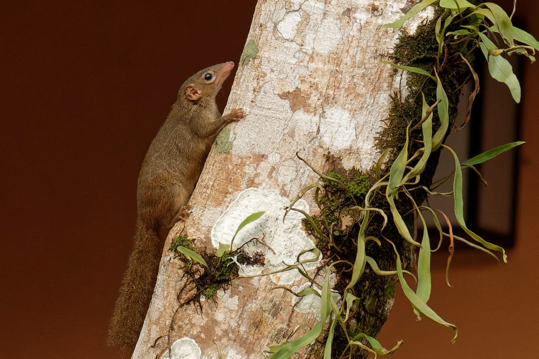 Sonstiges Khao Lak Merlin Resort