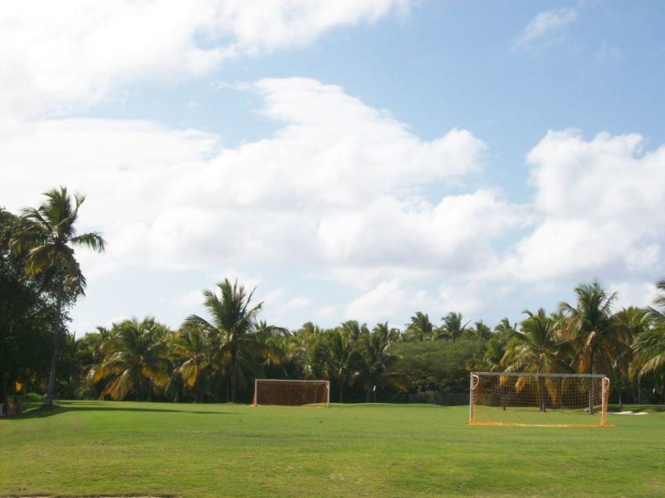 Palmenumsäumter Fussballplatz Catalonia Punta Cana - All Inclusive