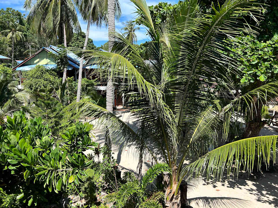 Ausblick Hotel Big Fish Resort