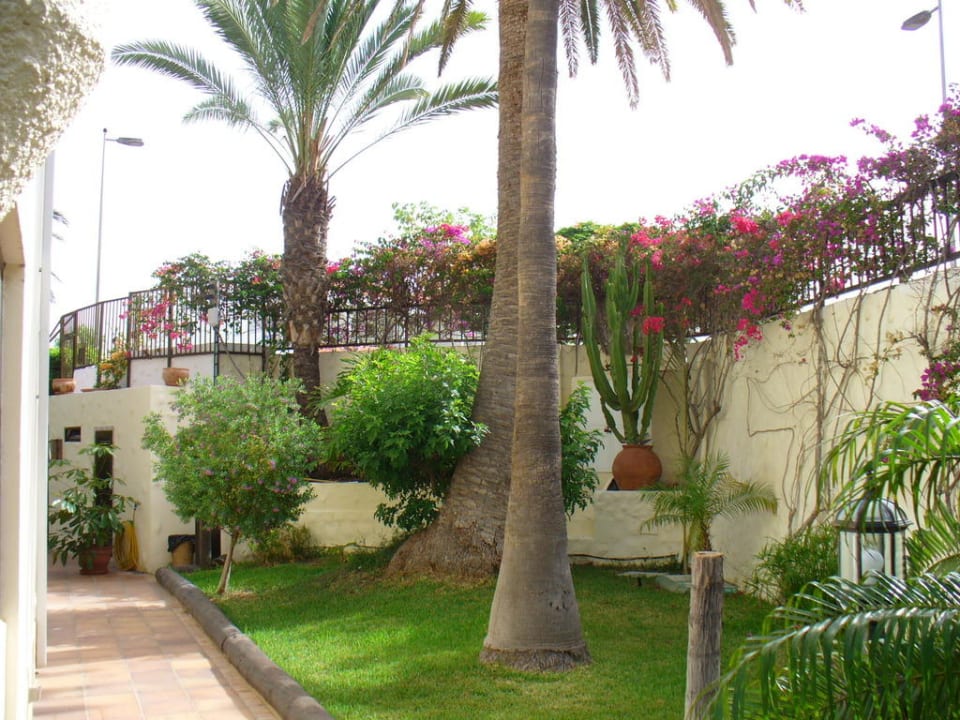 Gartenbereich neben Pool Nogal Appartements - Adults only