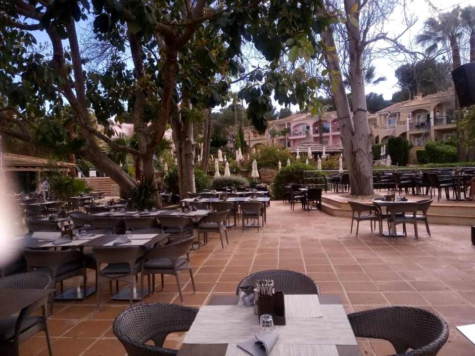 Gastro R2 Lago Playa Park