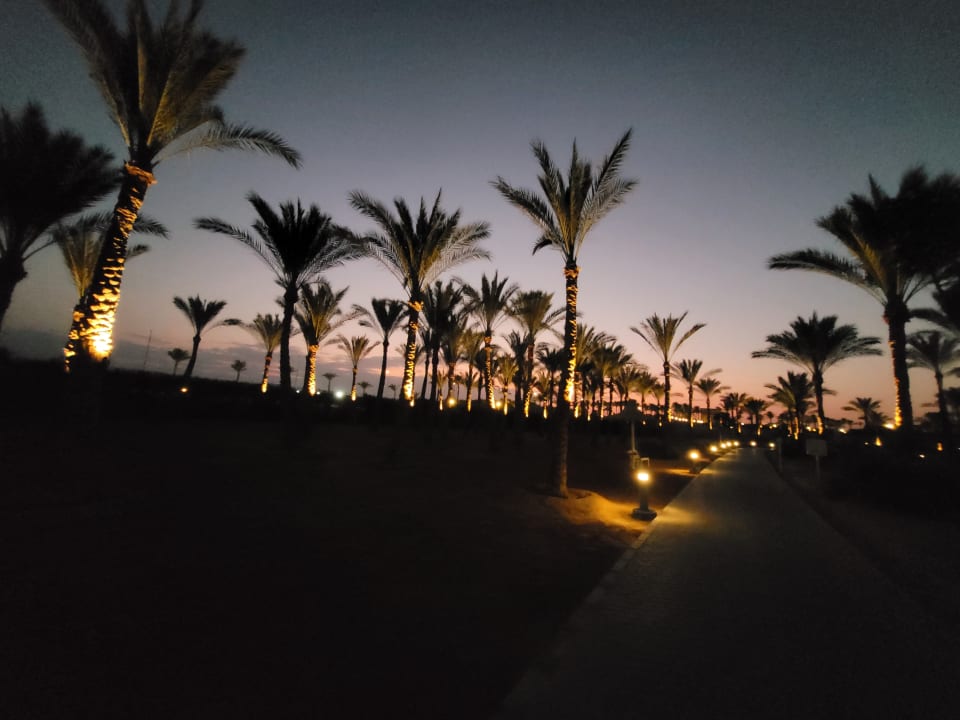 Gartenanlage Steigenberger Coraya Beach - Adults only