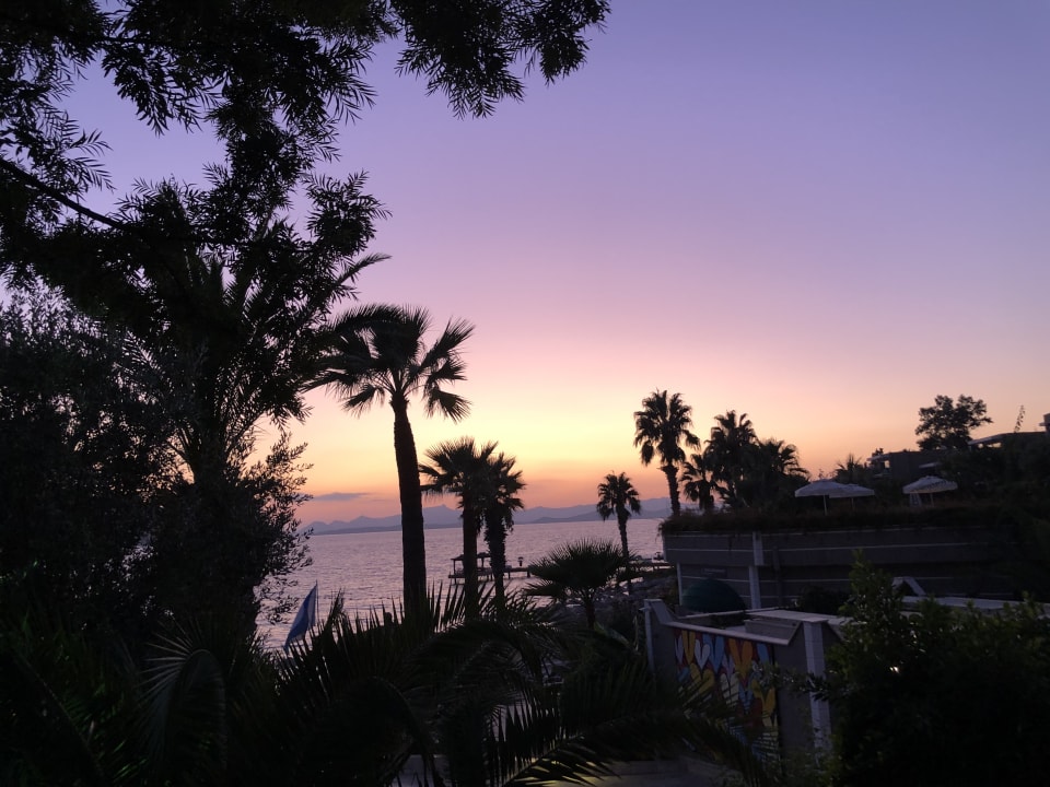 Ausblick TUI MAGIC LIFE Bodrum - Adult Only (16+)