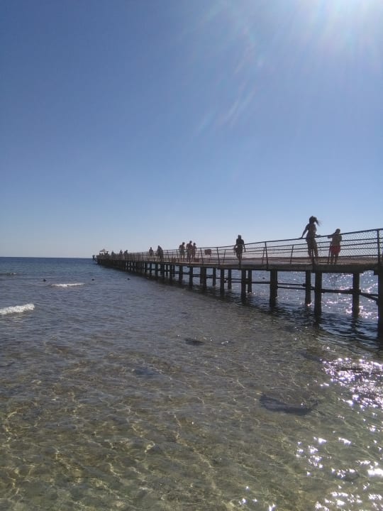 Strand Pickalbatros Palace Hotel-Port Ghalib