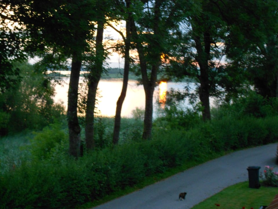 Ausblick am Sommerabend vom Balkon Pension Salzingerhof
