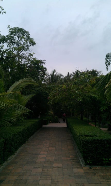 Ein Weg zum Pool/Strand Khaolak Laguna Resort