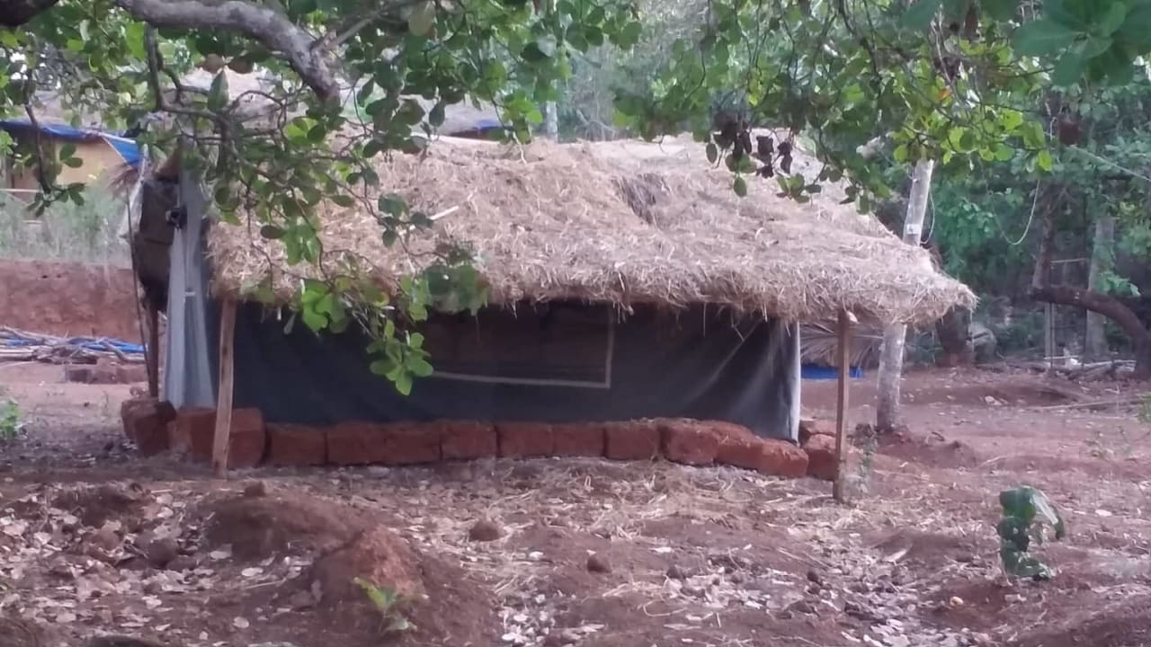 Zimmer Credo Jungle Resort - Agonda