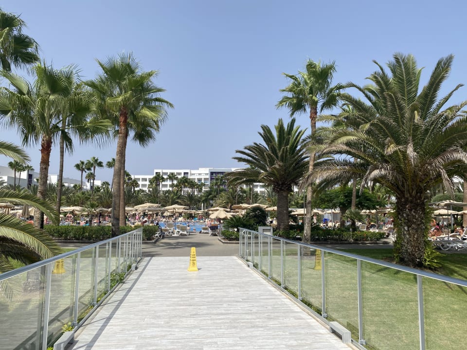 Gartenanlage Hotel Riu Gran Canaria