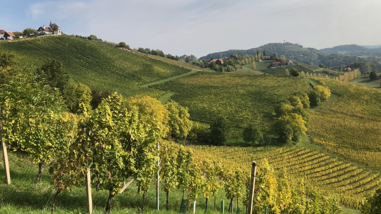 Ausblick Ratscher Landhaus